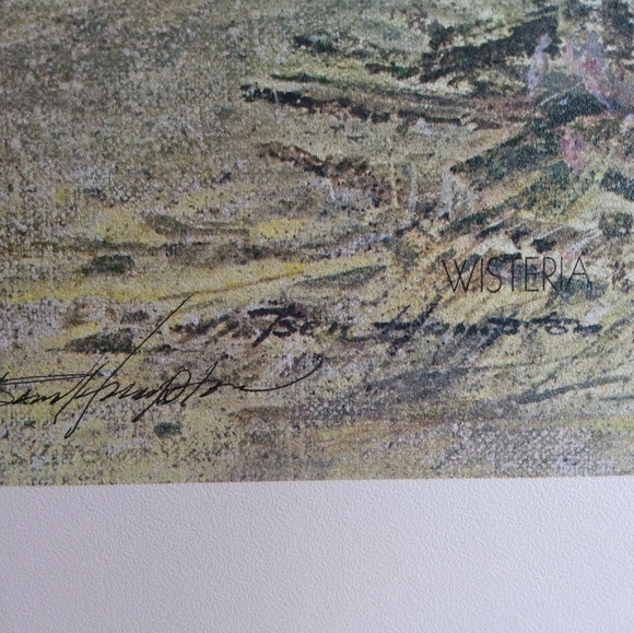 Ben Hampton artist print. "Wisteria". Vintage. 1985. Stamped and signed - Picture 2 of 2
